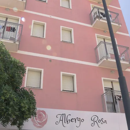 Rosa 2*
